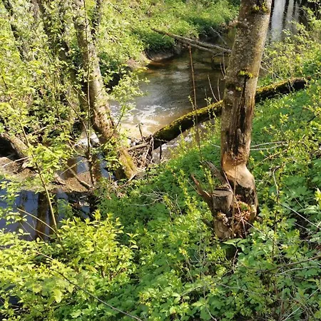 Вилла Bliss Garden Retreat House Zielonomi