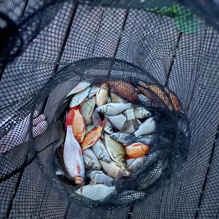 Bliss Garden Retreat House Zielonomi Вилла *