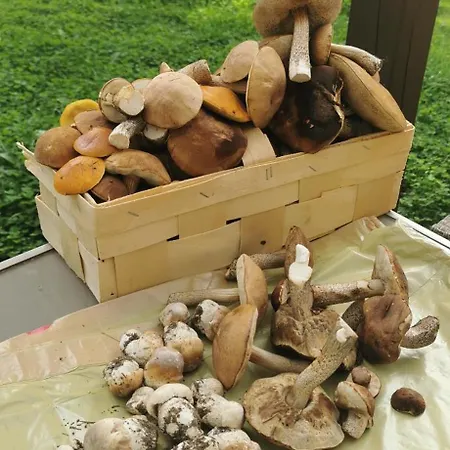 Вилла Bliss Garden Retreat House Zielonomi Babki Oleckie