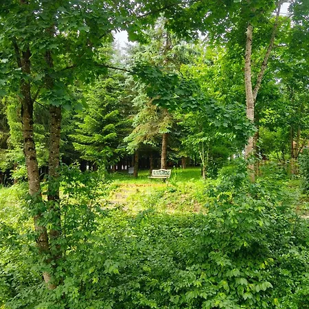 Siedlisko Bliss Garden Retreat House Zielonomi