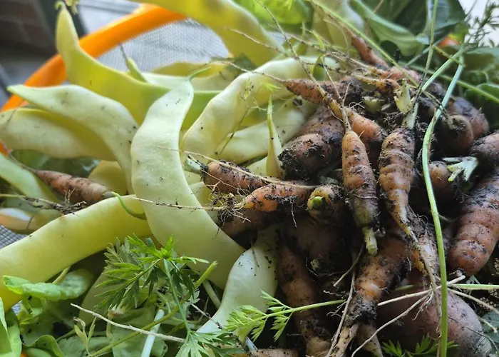 Bliss Garden Retreat House Zielonomi Vila Lengenquell